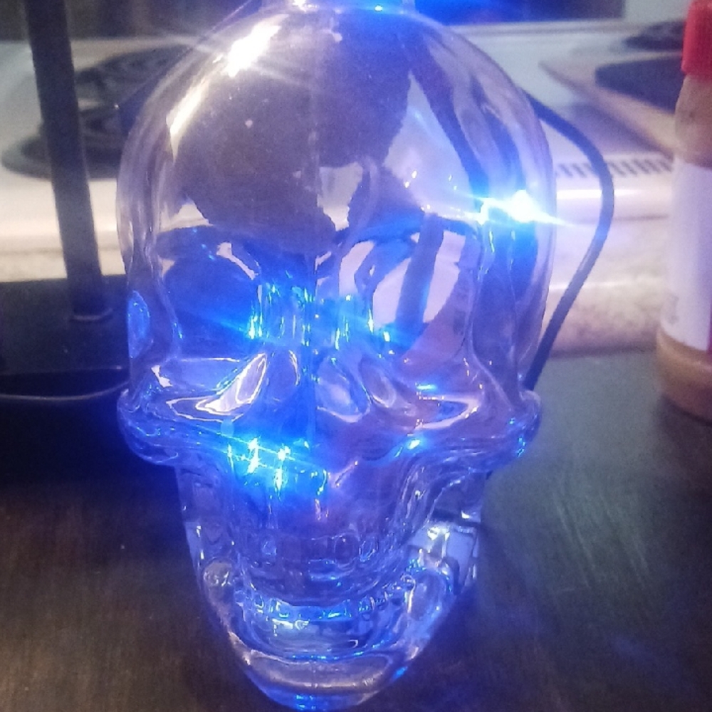 LED Skull Light Decor
